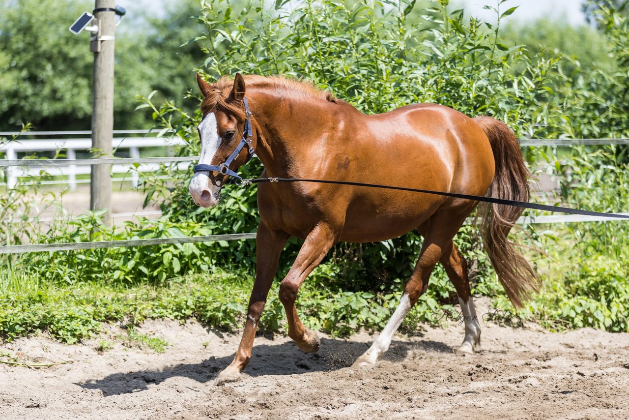 Bild 162 - Vivi
